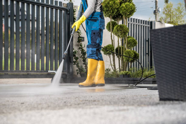 Best Dumpster Area Cleaning  in Havana, FL
